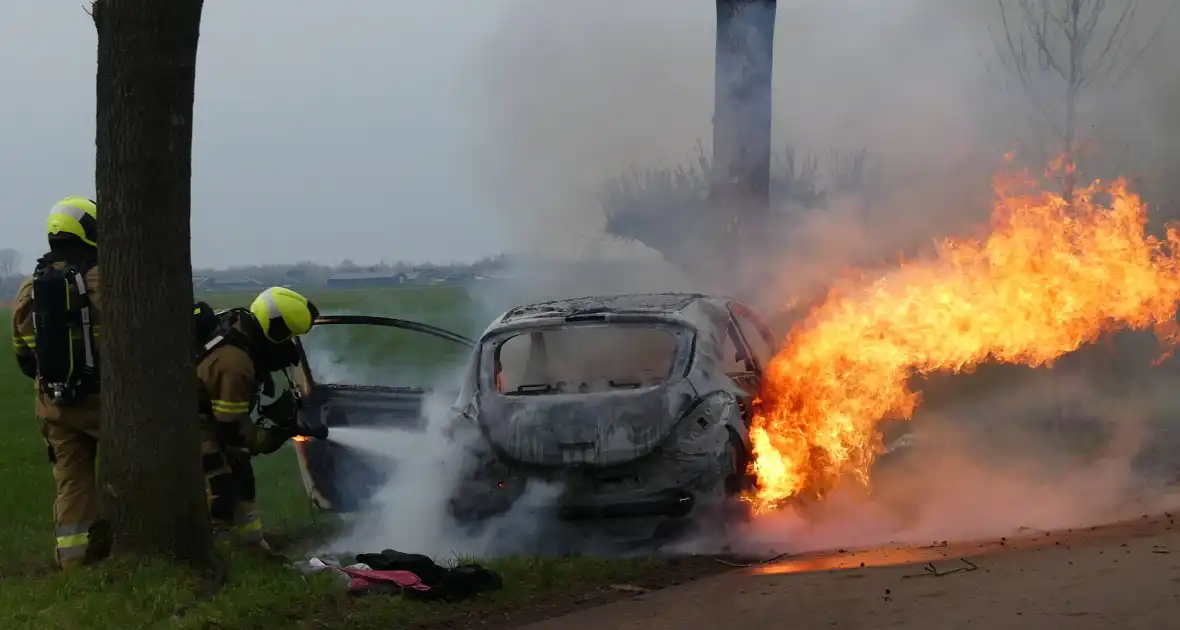 Auto vat vlam na frontale botsing tegen boom - Foto 17