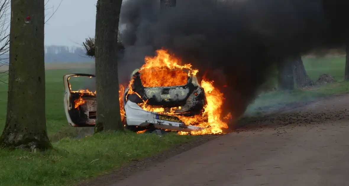 Auto vat vlam na frontale botsing tegen boom - Foto 18
