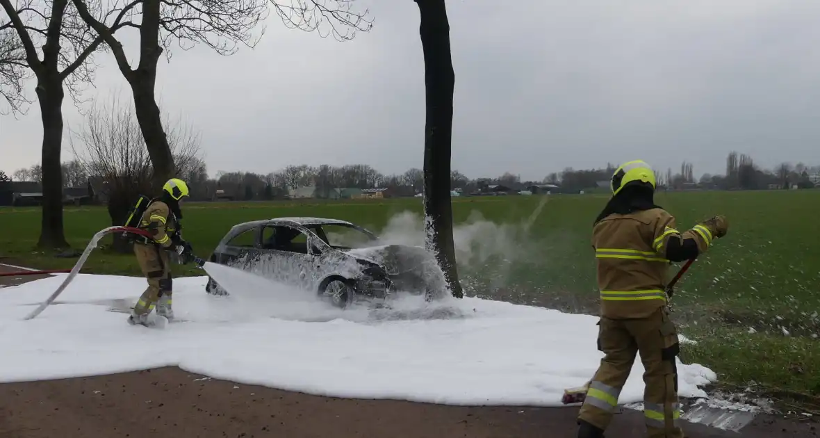 Auto vat vlam na frontale botsing tegen boom - Foto 3