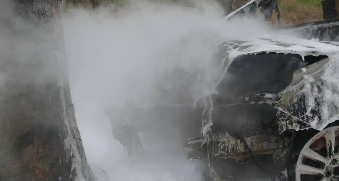 Auto vat vlam na frontale botsing tegen boom - Foto 4