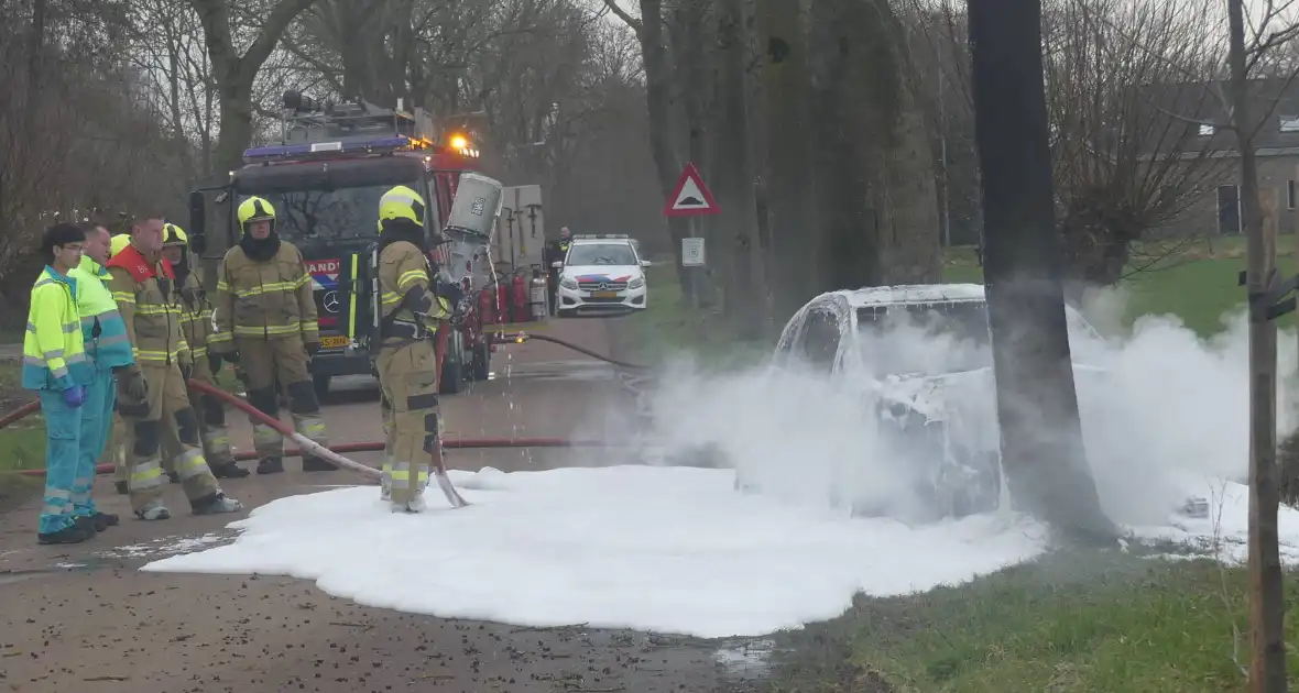 Auto vat vlam na frontale botsing tegen boom - Foto 7
