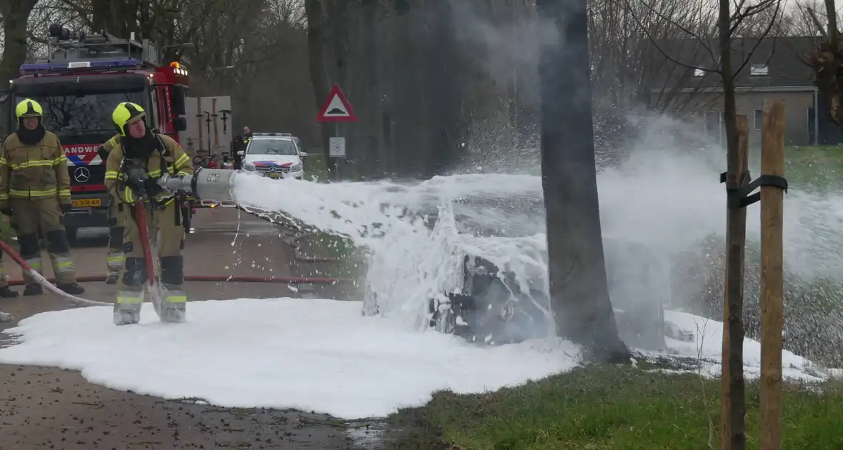 Auto vat vlam na frontale botsing tegen boom - Foto 9