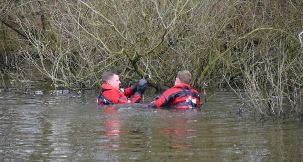 Meerkoet raakt verstrikt en wordt gered door brandweer - Afbeelding 3