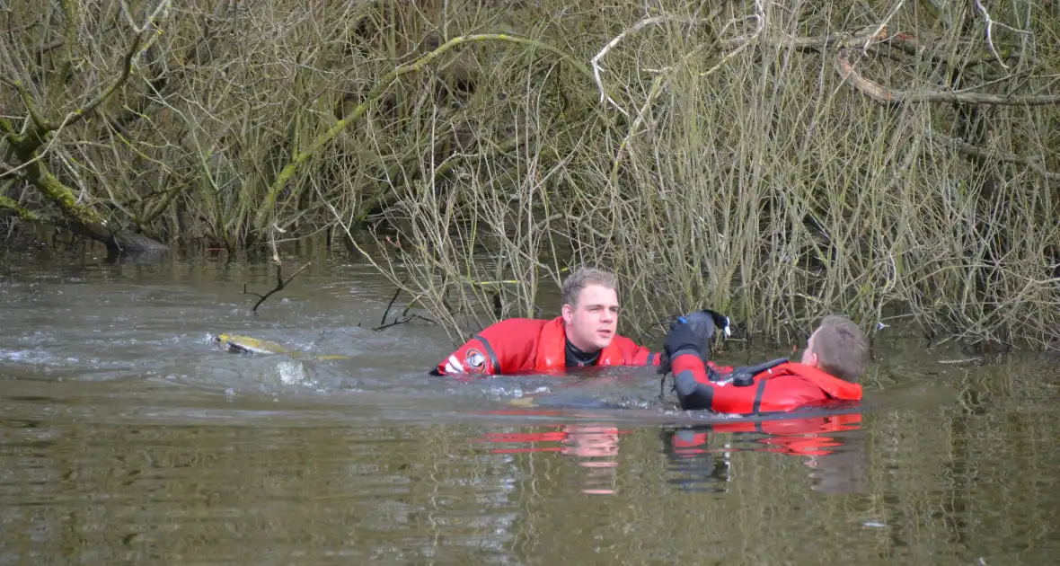 Meerkoet raakt verstrikt en wordt gered door brandweer - Foto 4