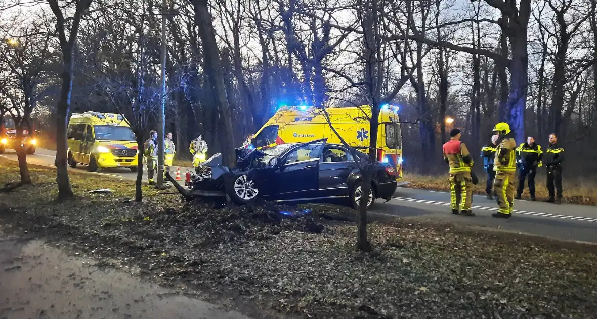 Zwaargewonde nadat personenauto zich in boom boort - Foto 2