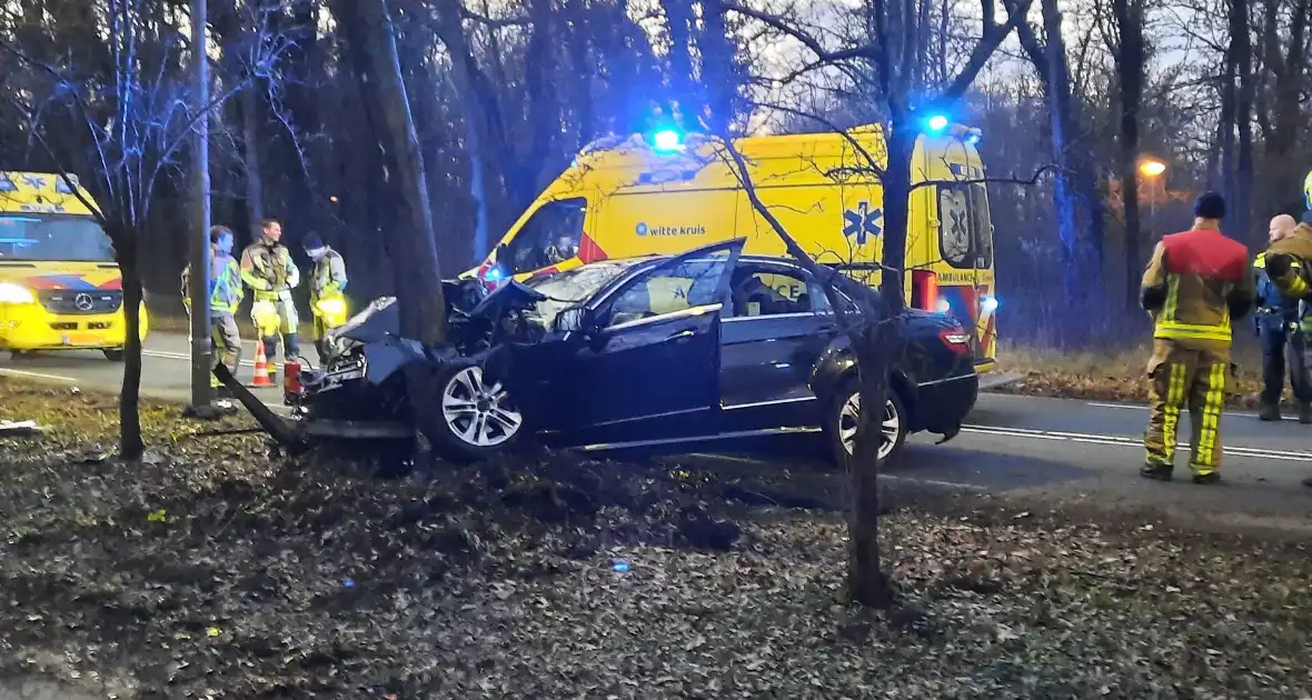 Zwaargewonde nadat personenauto zich in boom boort - Foto 3