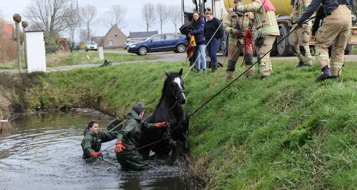 Paard belandt in diepe sloop