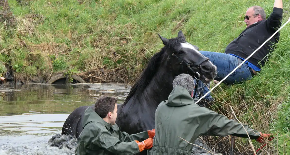 Paard belandt in diepe sloop - Foto 2