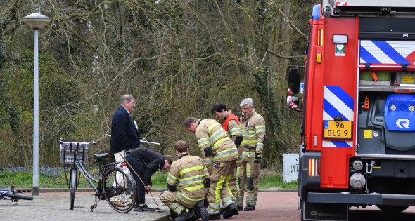 Brandweer redt twee padden uit rioolput - Afbeelding 4