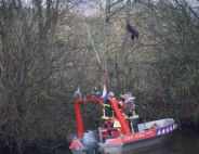 Kraai met visdraad vast in boom