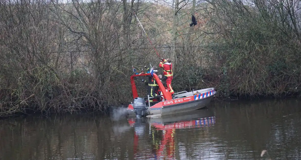 Kraai met visdraad vast in boom - Foto 10