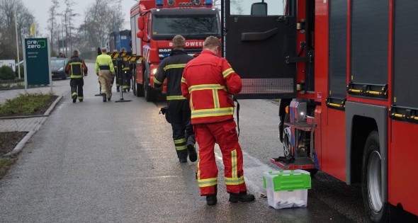 Kraai met visdraad vast in boom - Afbeelding 3
