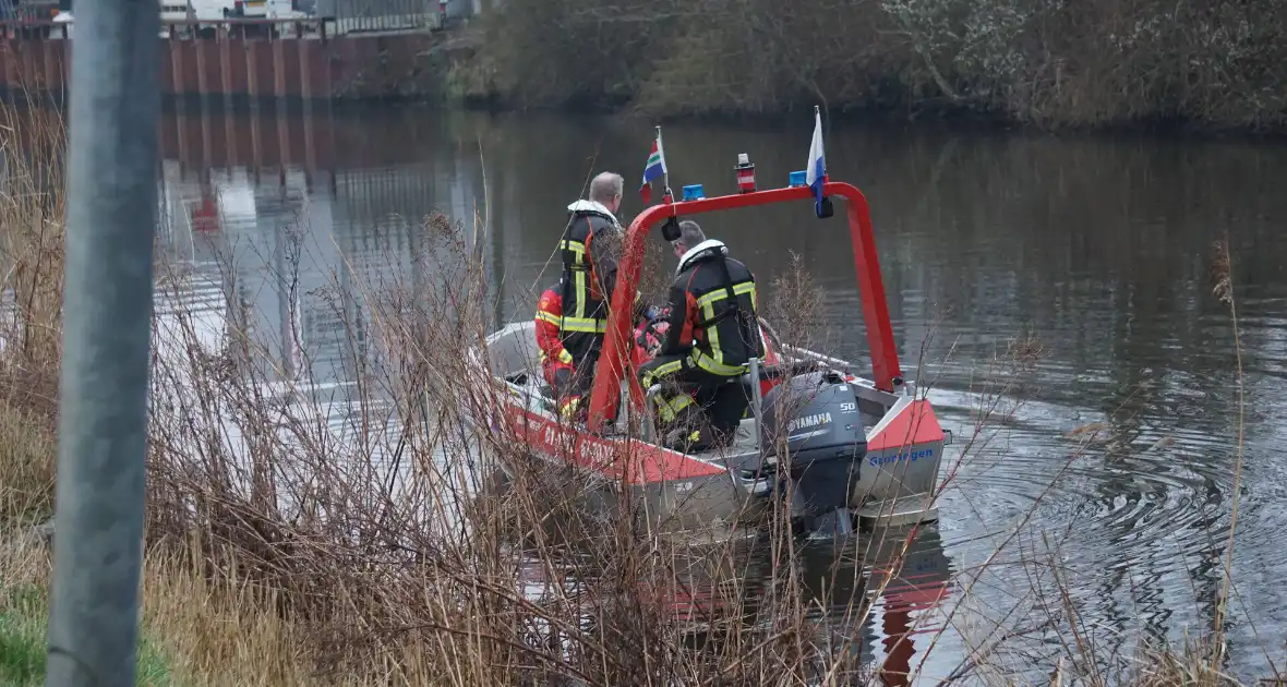 Kraai met visdraad vast in boom - Foto 7