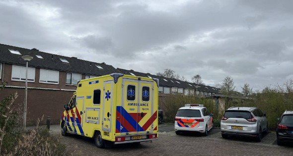 Aanhouding na steekincident - Afbeelding 3