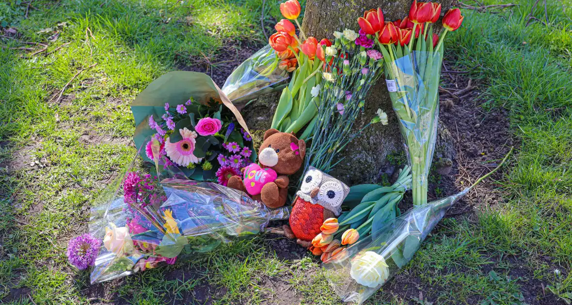 Eerste bloemen voor overleden 2-jarige jongen - Foto 2