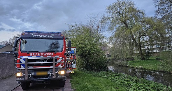 Brandweer ingezet voor kat in boom
