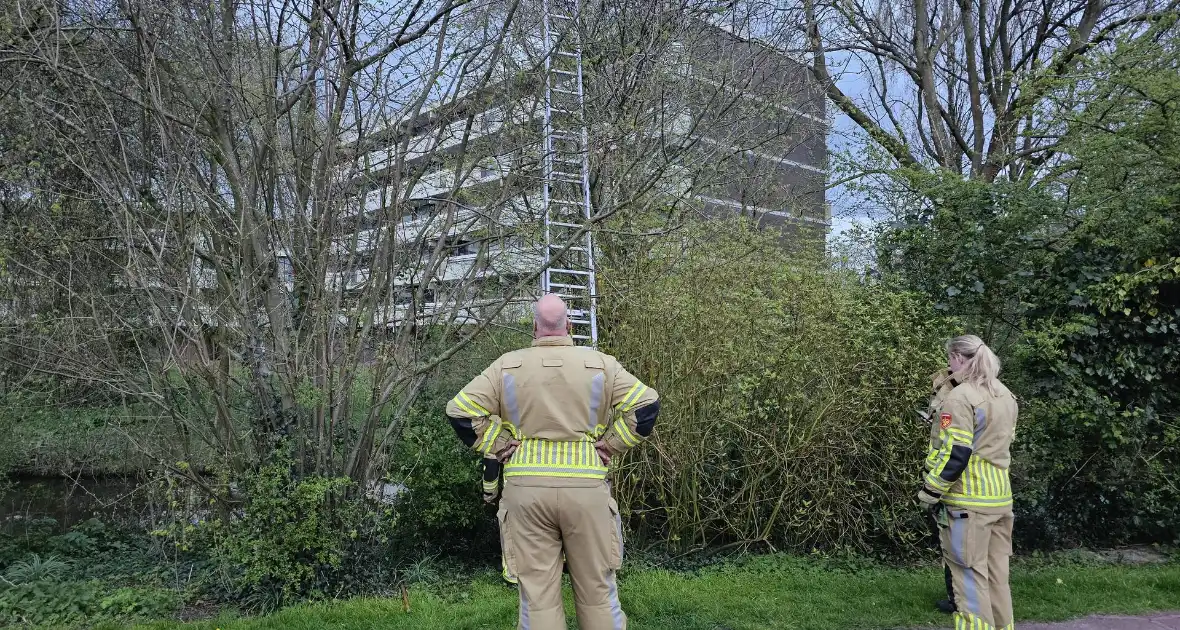 Brandweer ingezet voor kat in boom - Foto 2