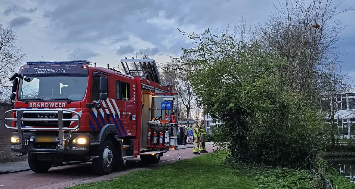 Brandweer ingezet voor kat in boom - Foto 4