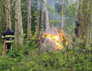 Flinke vlammen bij brand in boomwal