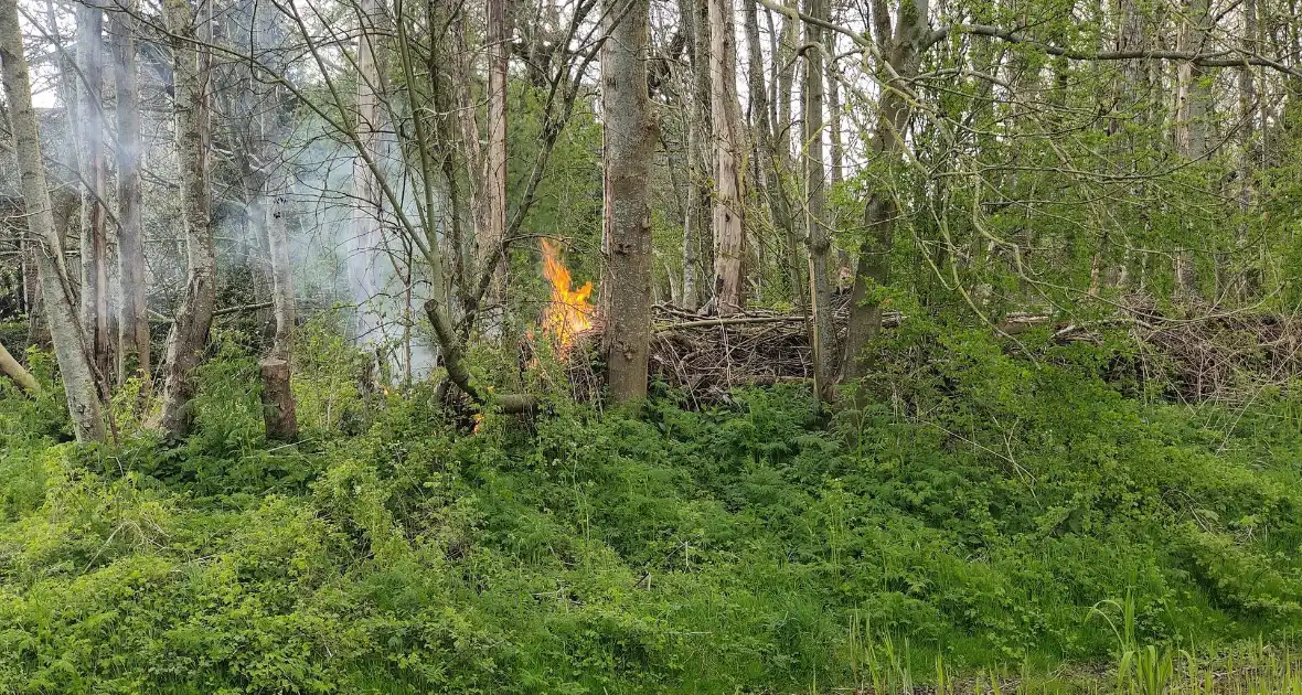 Flinke vlammen bij brand in boomwal - Foto 3