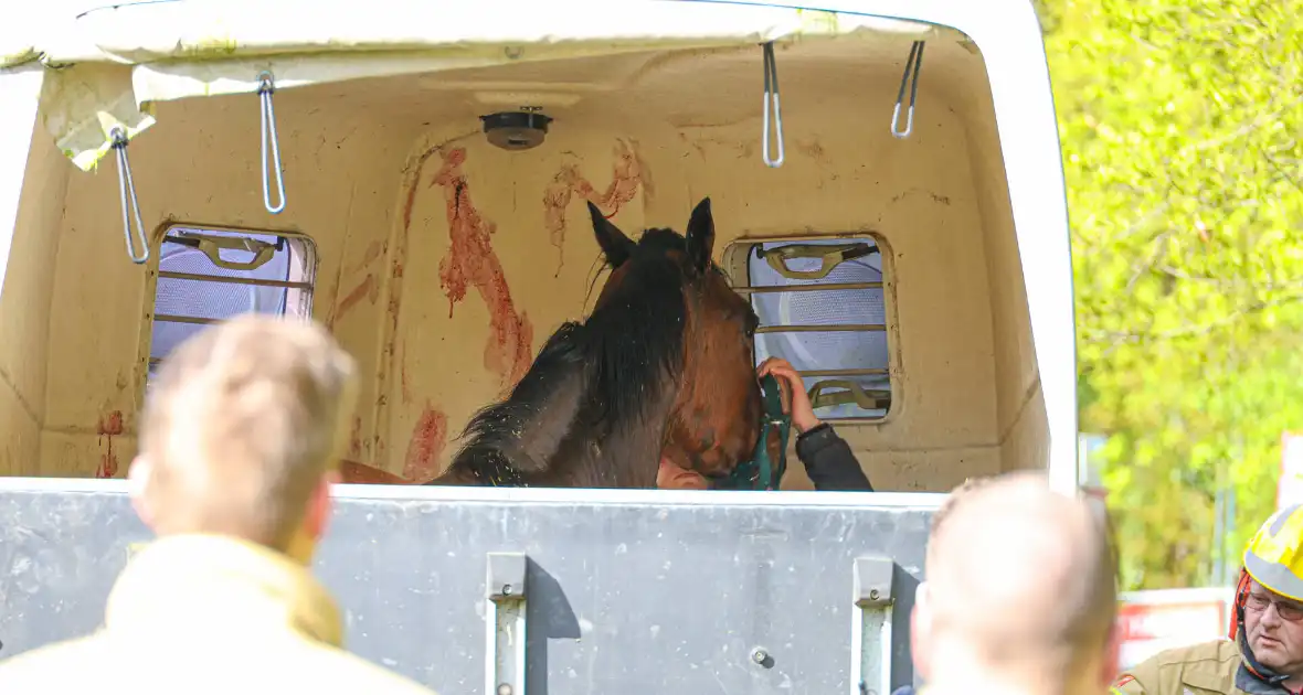Paard overleden na verwonding in paardentrailer - Foto 5