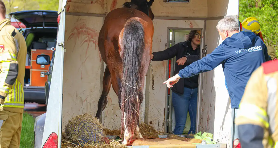 Paard overleden na verwonding in paardentrailer - Foto 6