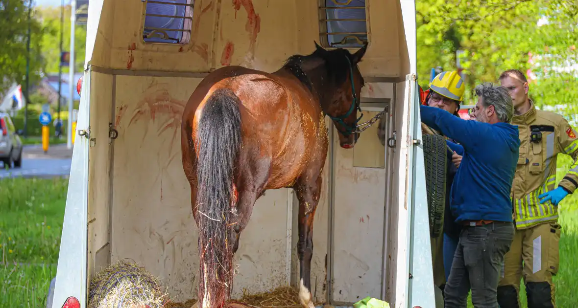 Paard overleden na verwonding in paardentrailer - Foto 7