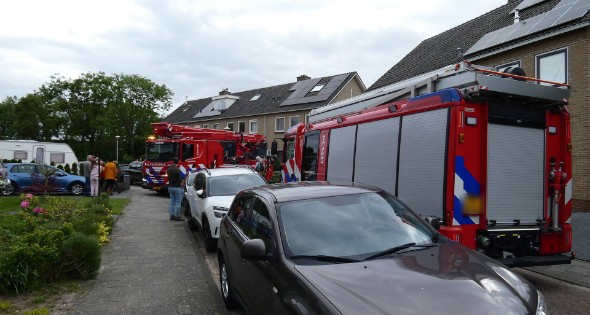 Brandweer redt vastzittende vogel - Afbeelding 8