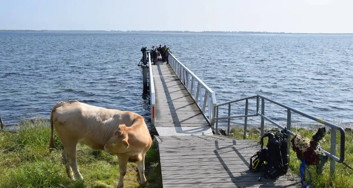 Duiker gewond bij waterongeval - Foto 5