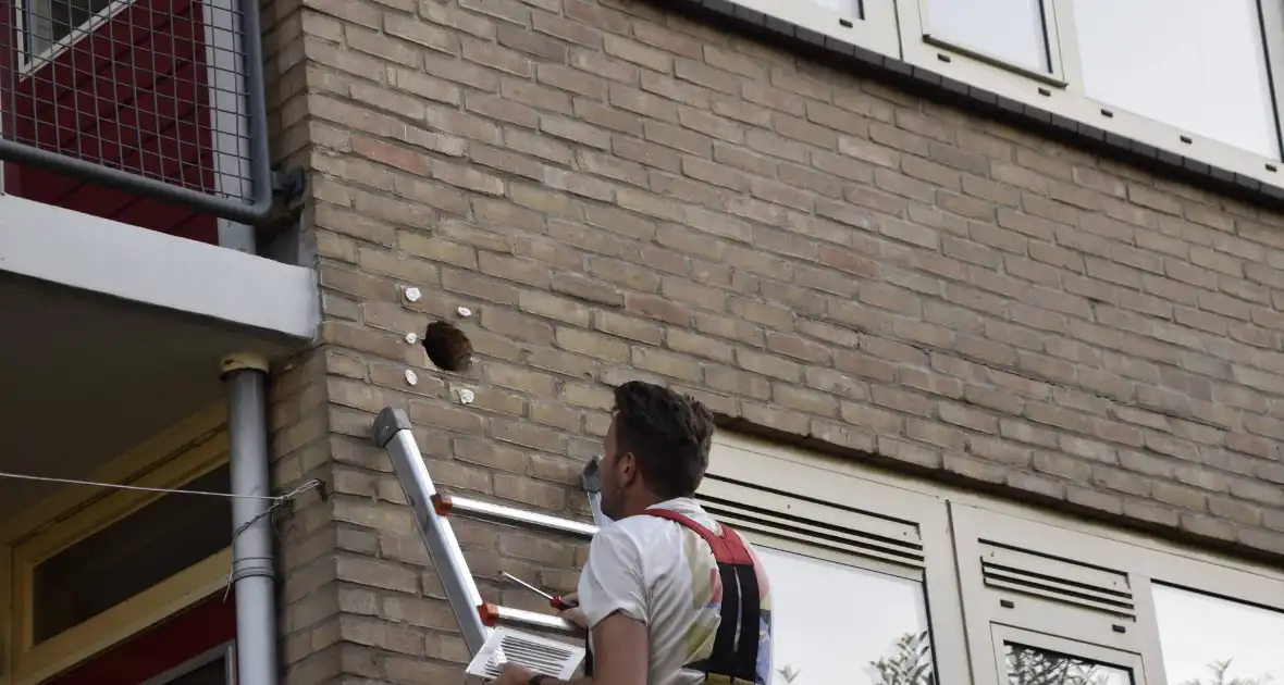 Brandweer ingezet voor vogelnest in muur - Foto 10