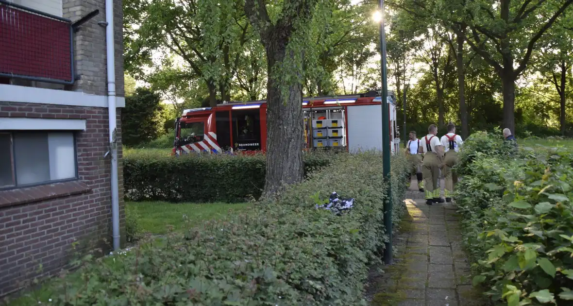 Brandweer ingezet voor vogelnest in muur - Foto 11