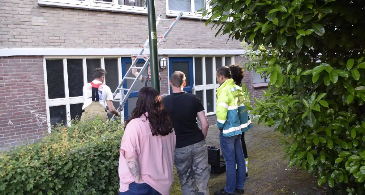 Brandweer ingezet voor vogelnest in muur - Foto 12