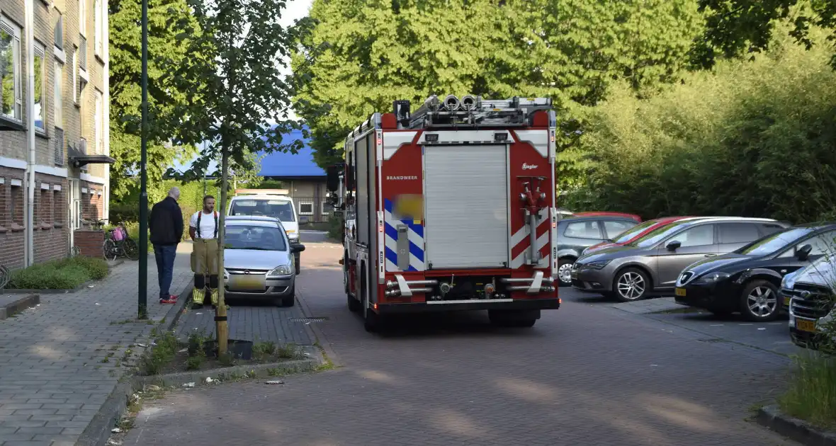 Brandweer ingezet voor vogelnest in muur - Foto 3