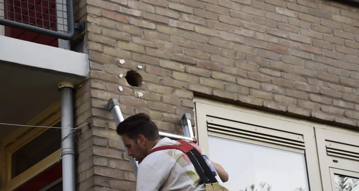 Brandweer ingezet voor vogelnest in muur - Foto 7