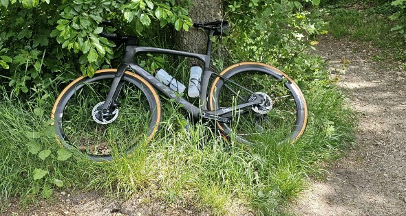 Wielrenner ten val door hond, hond aangereden door auto