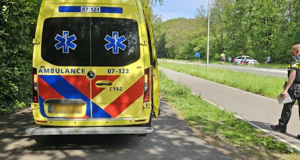 Wielrenner ten val door hond, hond aangereden door auto - Afbeelding 4