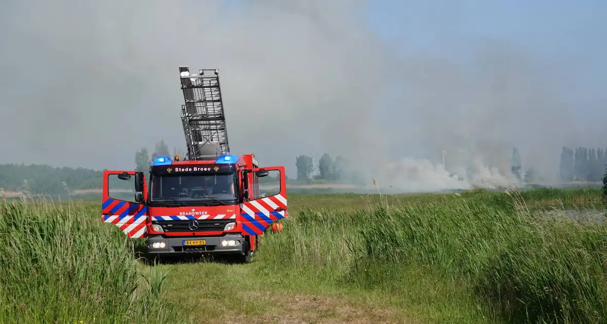 Schaapjes in veiligheid gebracht bij hevige rietbrand