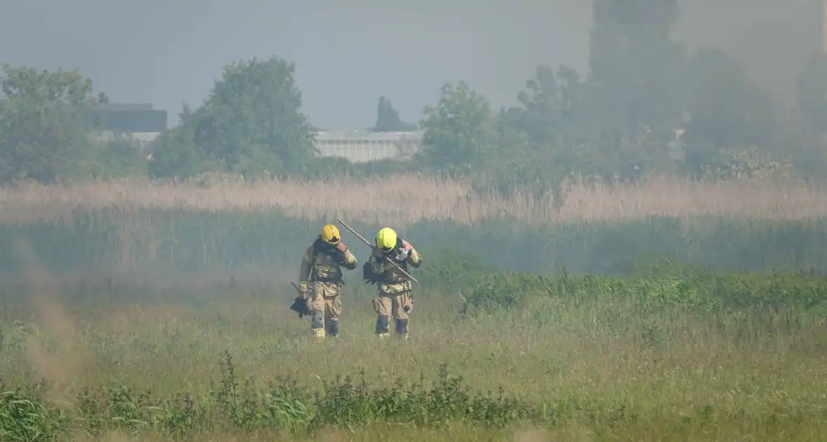 Schaapjes in veiligheid gebracht bij hevige rietbrand - Foto 1