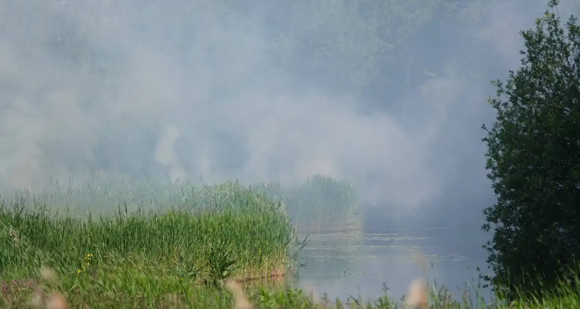 Schaapjes in veiligheid gebracht bij hevige rietbrand - Foto 11