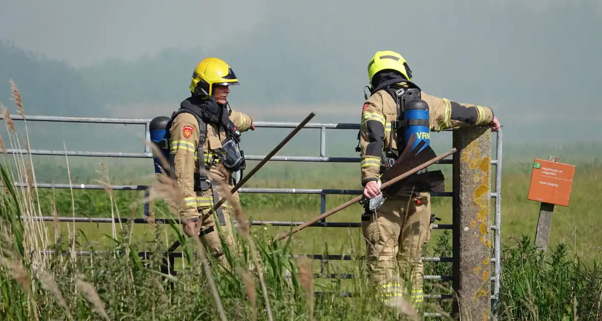 Schaapjes in veiligheid gebracht bij hevige rietbrand - Foto 3