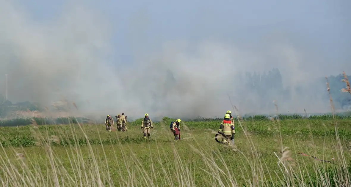 Schaapjes in veiligheid gebracht bij hevige rietbrand - Foto 5