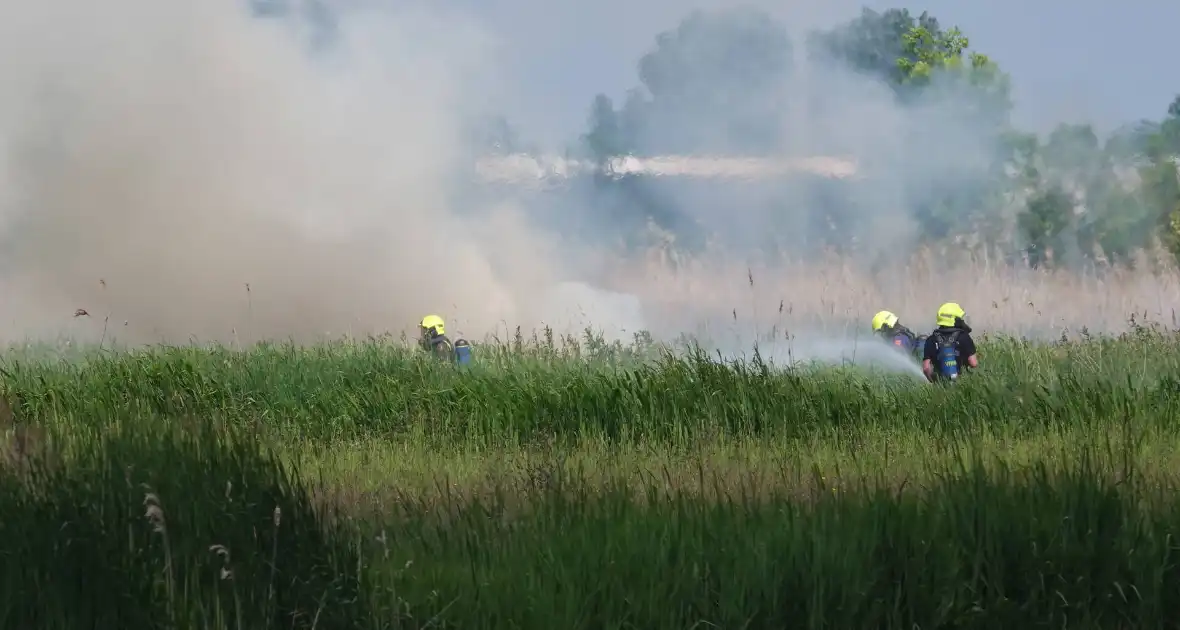 Schaapjes in veiligheid gebracht bij hevige rietbrand - Foto 6