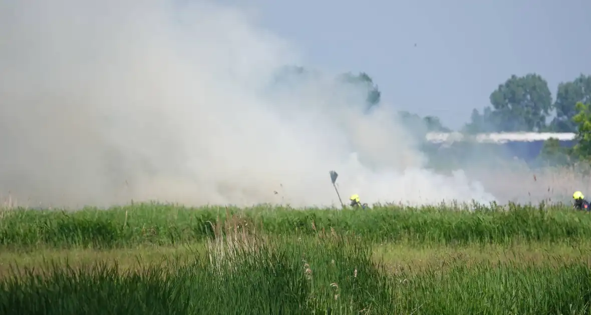 Schaapjes in veiligheid gebracht bij hevige rietbrand - Foto 7