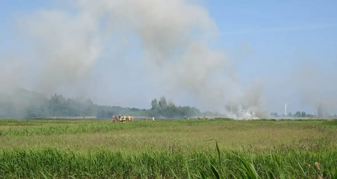 Schaapjes in veiligheid gebracht bij hevige rietbrand - Foto 8