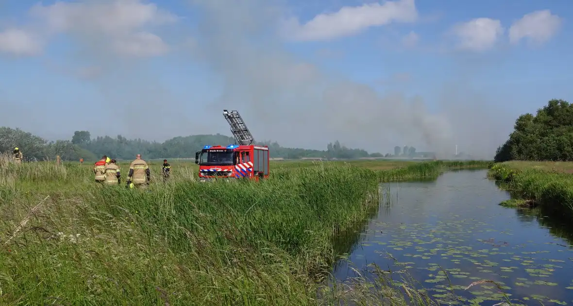 Schaapjes in veiligheid gebracht bij hevige rietbrand - Foto 9