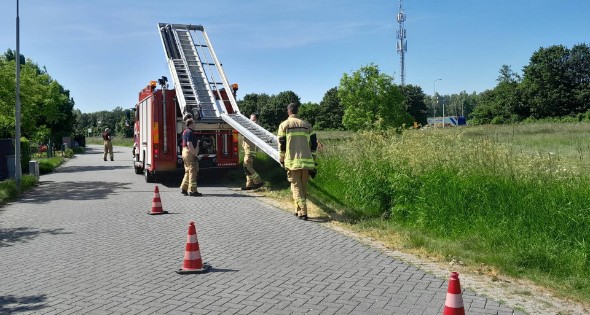 Brandweer haalt paard uit de sloot