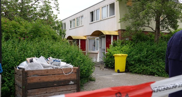 Politie vindt wietplantage met ruim 800 planten - Afbeelding 4