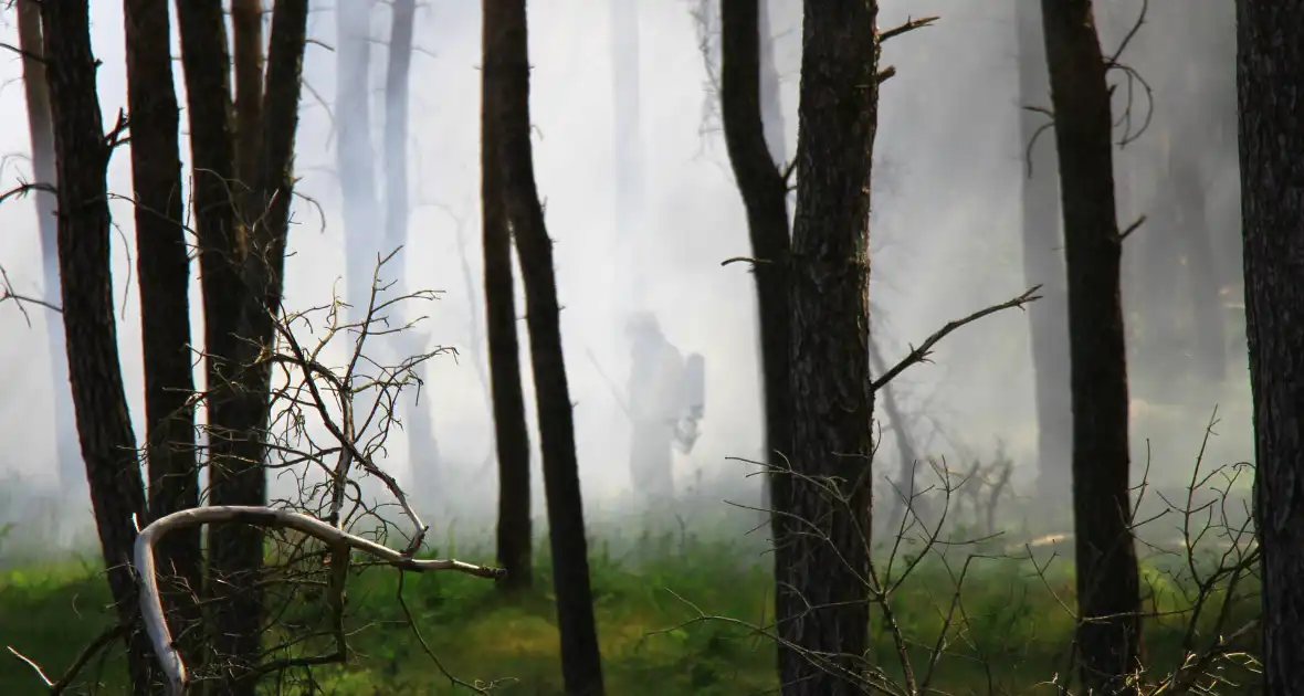 Brandweer rijdt zich vast bij natuurbrand - Foto 2