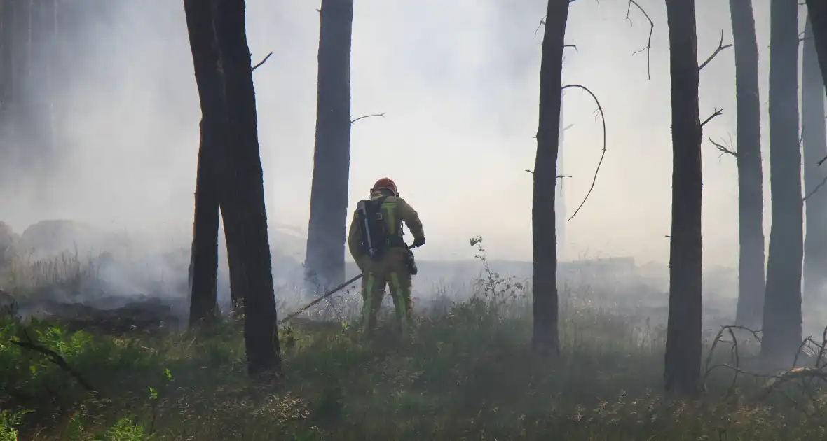 Brandweer rijdt zich vast bij natuurbrand - Foto 3
