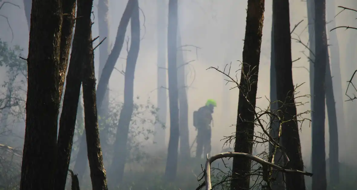 Brandweer rijdt zich vast bij natuurbrand - Foto 8